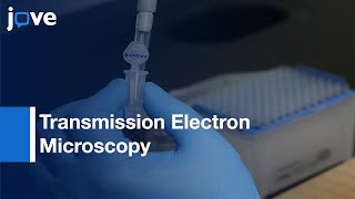 Sample Preparation & Imaging of Exosomes By Transmission Electron Microscopy l Protocol Preview
