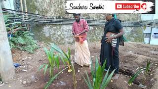 Sabarimala-3/Sabarimala|Pampa#Sabarimala#Pampa#LordAyyappa#SancharaSarathi