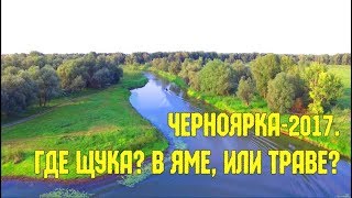 Павлодарский Кубок 2017.Черноярская яма, или трава?.