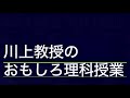 芭蕉が旅先で聞いたセミの声は、何ゼミの鳴き声だったのか？