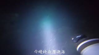 @sonykkk2002 台東新港成功基翬港的純夜潛 推進器 水推 水中推進器(黑鰭鯊)