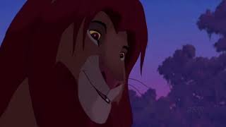 Simba / Sarabi / Mufasa - Lovely