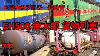 JR貨物 EH500金太郎 ド迫力ブロワー起動音！朝の黒磯駅を発車する下り貨物列車7本 (8時〜10時台) 2021.10.30