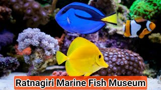 Marine aquarium \u0026 museum ratnagiri | Ep 03 | Prachin Konkan | Family Trip to Ratnagiri