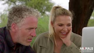 Three cheetahs hunt a mother antelope and her baby   Animals With Cameras Episode 2  BBC One