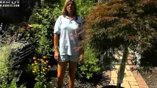 Landscaping Wayne NJ Canete- Mulching Tips.mov