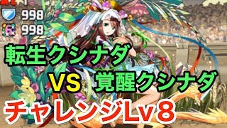 【パズドラ】12月のクエストダンジョンチャレンジLv8に転生クシナダヒメPTで挑戦！【攻略】