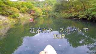 Hokkaido outdoor 札幌市内　定山渓のカヌースポットで紅葉SUP