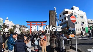 鎌倉 鶴岡八幡宮 初詣