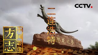 《中国影像方志》 第564集 内蒙古二连浩特篇：万里茶道驿站古生物化石惊艳世界 国际铁路枢纽边境小城充满异域风情 | CCTV科教