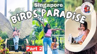 Birds paradise in Singapore |  Part 2 | සිංගප්පූරුවේ කුරුළු උයනේ ගෙවුන හවස් වරුව | 🇸🇬 🦅 | Mandai