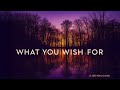 What You Wish For