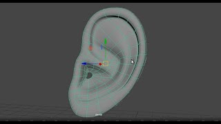 ear modeling in Maya_ part 2 #3dtutorial #video #3dmodeling