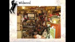 Wildwood Antique Malls Primitive Antiques of Ocala \u0026 Wildwood part 1