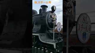 京都鉄道博物館🚆蒸気機関車#shorts