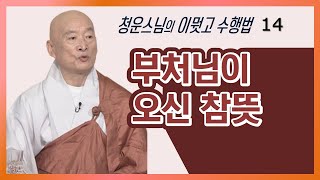 부처님이 이땅에 오신 진정한 의미 [청운스님의 재가불자들을 위한 이뭣고수행법 14 회]