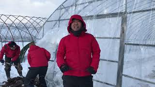 メロンハウス妻面を留める方法【寺坂農園】