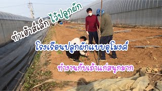 EP.42/1 วิธีทำโรงเรือนปลูกผักที่เกาหลี(สร้างเฮ้าส์ไว้ปลูกผัก)