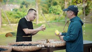 《地理·中国》 20250614 中国古建史话 潮汕古屋·选址 | CCTV科教