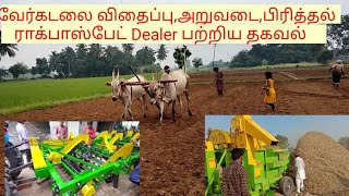 வேர்கடலை விதைப்பு,அறுவடை, விதைபிரித்தல்,@deejayfarming8335