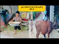 Latest New Noor funny Videos|#Noor #Clips #Videos #Noortiktok