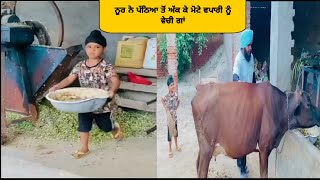 Latest New Noor funny Videos|#Noor #Clips #Videos #Noortiktok