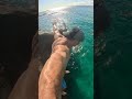 와이메아 베이 락 점프 waimea bay rock jump gopro hawaii oahu 하와이 shorts 릴스 바다 재미있는