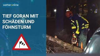 Sturmtief GORAN: Entwurzelte Bäume und Föhnsturm (21.01.2021)