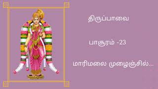 திருப்பாவை தமிழ் வரிகளுடன் -பாசுரம் -23 மாரிமலை முழைஞ்சில்||Thiruppavai with Tamil Lyrics Pasuram-23