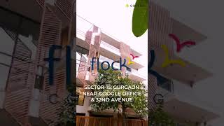 Flock Coliving Sector 15 - Premium Coliving Space in Gurgaon 100% 🔒Safe and Secure😍