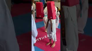 ミット練習 ～バランスミットトレーニング･パンチ～ #mitttraining #training #balance #punch