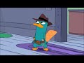 The Best A Platypus PERRY THE PLATYPUS! Compilation