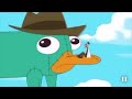 The Best A Platypus PERRY THE PLATYPUS! Compilation