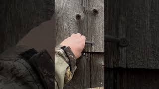 Checking The Wood Duck Box