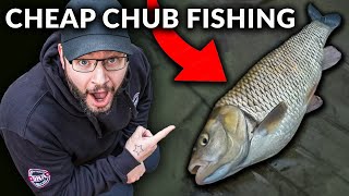 Hunting a BIG Winter Chub on MEGA River!