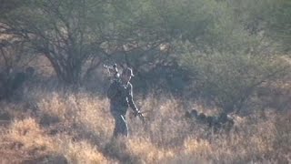 Essential Texas hunting method