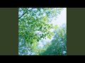 Soft winds