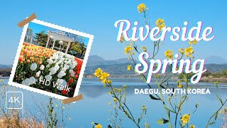 Riverside Spring | 4K Cinematic Walkthrough | Daegu, South Korea