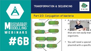 Week #6B: Transformation and Sequencing 2/3