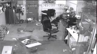 Help Identify! Game Stop Burglary, 1/28/15 Gainesville, FL