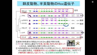 生物進化5回脊椎2022秋 edit