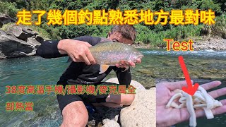 [本流竿釣魚]天氣熱風好大，試一下吐司#上坪溪#溪釣#霞鮸#本流釣り#taiwan#fishing