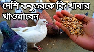 দেশি কবুতরকে কি খাবার খাওয়াবেন।। দেশি কবুতর পালন পদ্ধতি।। kobutor history.