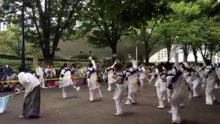 Kokiriko Odori en Yoyogi Koen 2015