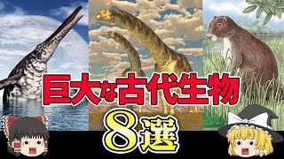 【ゆっくり解説】陸・海・空、全長45ｍの生物も？！ とにかく巨大だった古代生物 8選！