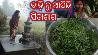 7 December 2022/ ODIA VLOGGER MILI / ବାଡ଼ି ରୁ ଆସିଛି ପିତାଶାଗ /🙏🙏🙏🙏