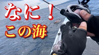 (釣り）魚種豊富過ぎ！この海 凄！カヤックフィッシングでSLJ