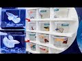 BETTA Fish SHOPPING SPREE!  **BREEDING Betta Fish?**