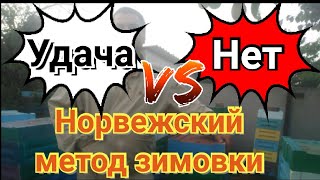 Норвежский метод зимовки. Удача или нет.