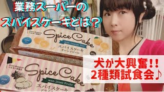 業務スーパーのスパイスケーキとは？犬が大興奮の2種類試食会♪ #業務スーパー購入品